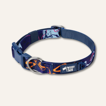 Apex® Collar