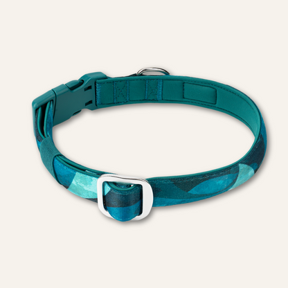 Comfort Collar