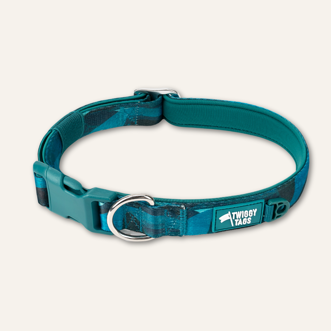 Comfort Collar